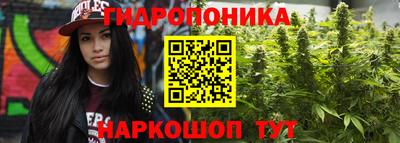 дживик Кимры