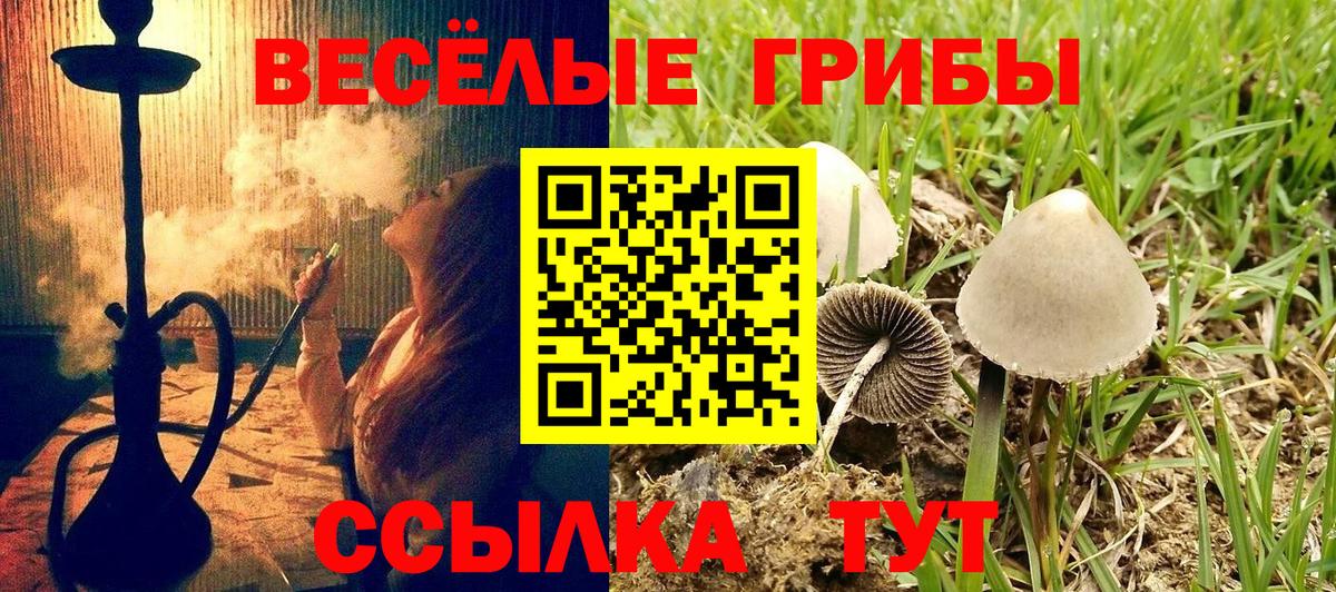 Корсаков  сколько стоит  Вход с VPN  Галлюциногенные грибы Magic Shrooms 